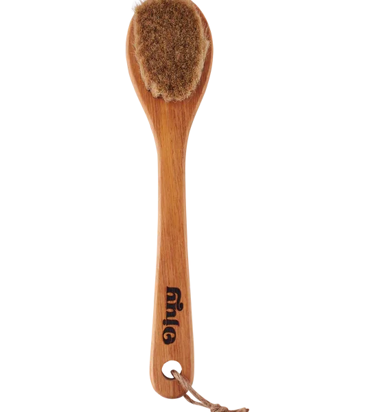 Ojuy Long Handle Dry Brush